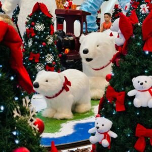 WhatsApp Image 2023-11-27 at 15.13.03 (2)